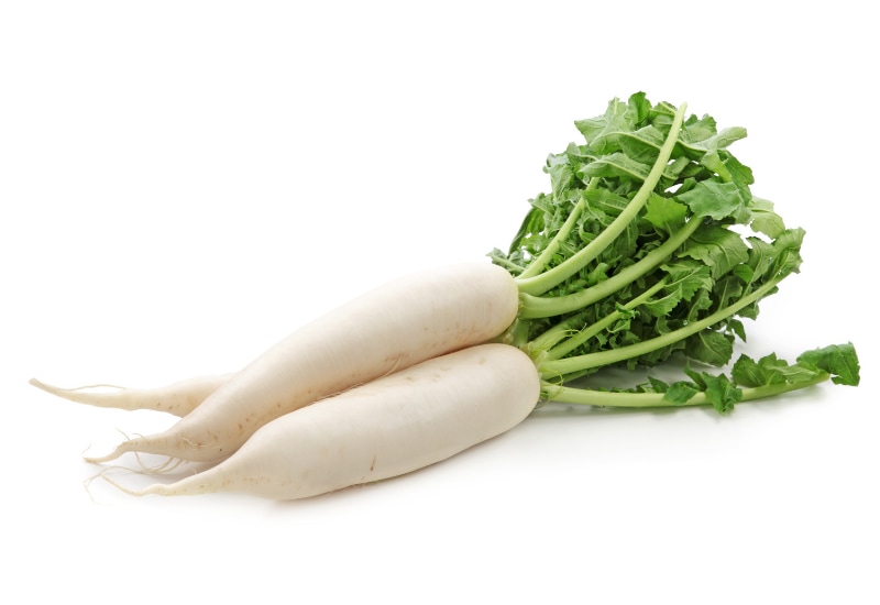 Củ cải trắng rau ăn kèm lẩu cá thác lác 