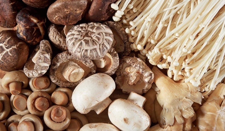15 loại nấm ăn lẩu ngon, dễ tìm và được nhiều người ưa chuộng nhất
