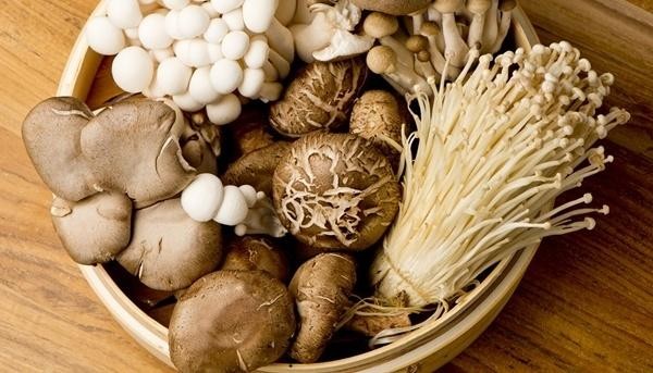 Những sai lầm khi sử dụng nấm có thể gây ra ngộ độc chết người