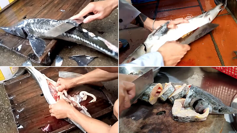 Cách nấu lẩu cá tầm đặc sản Sapa thịt cá dai ngọt ngon tuyệt