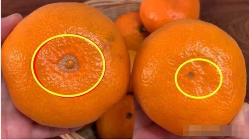 Cách chọn cam - loại trái cây được ưa thích, vỏ vừa mỏng lại ngọt ngon | Tin tức Online