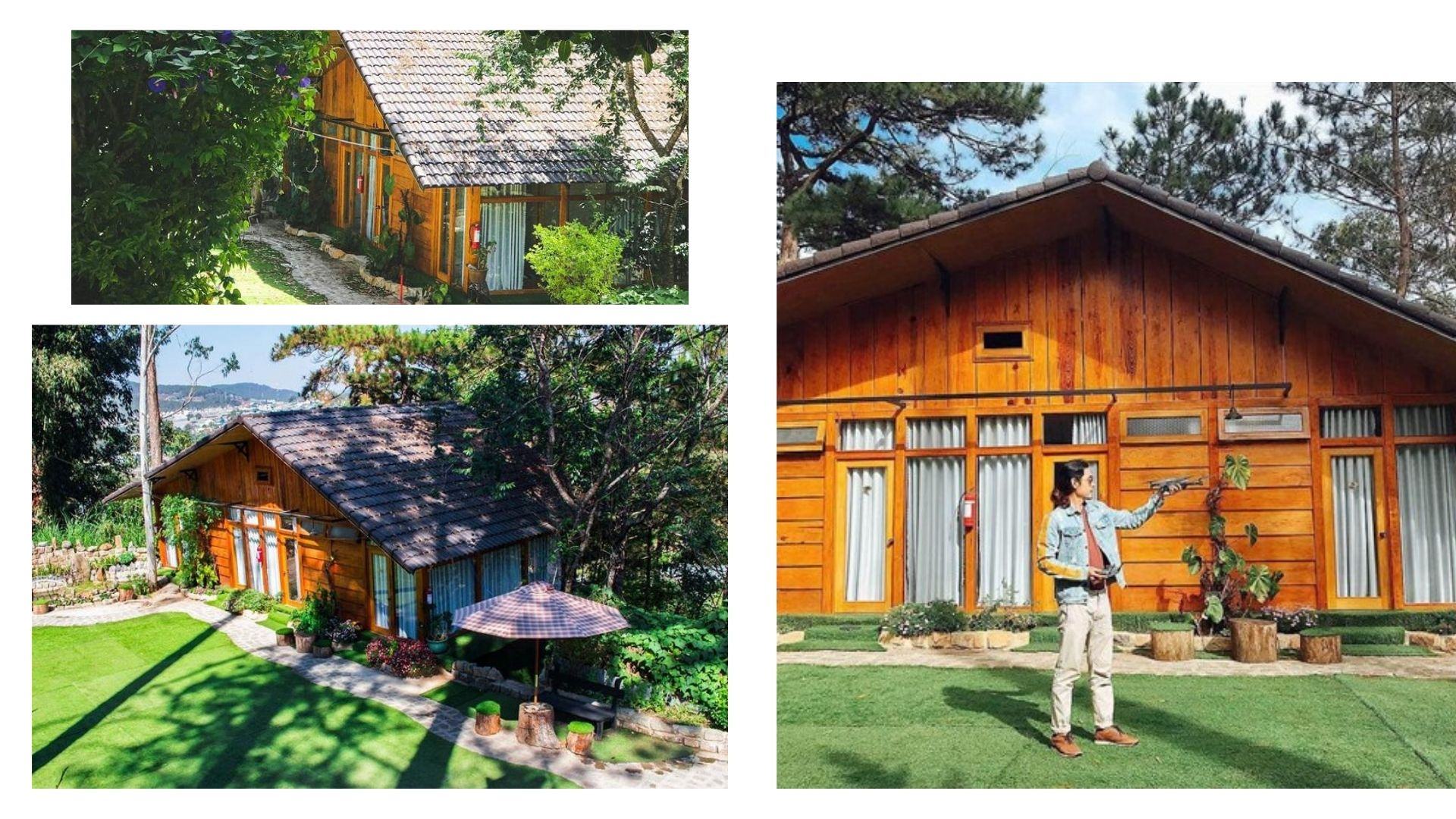 Nomini homestay - Ngôi nhà gỗ view cực xinh giữa rừng thông Đà Lạt